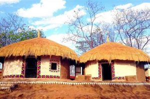 Fast Food in Udaipur