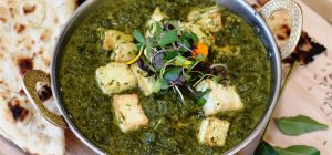 Veg Restaurant in Udaipur